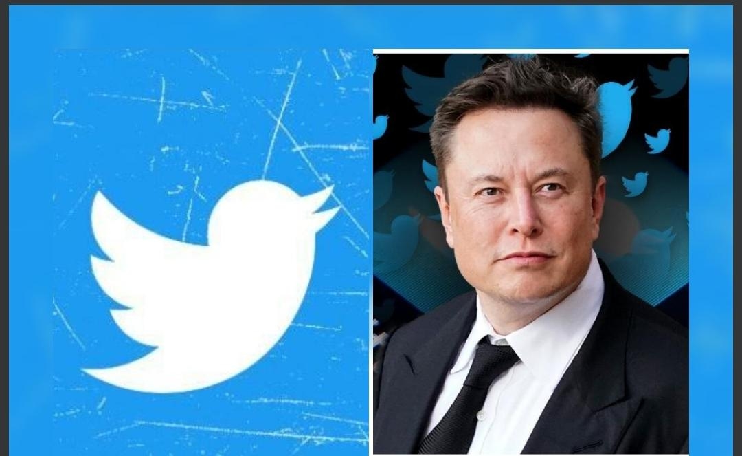 Twitter CEO Elon Musk Re-verifies Accounts On Twitter With More Than ...